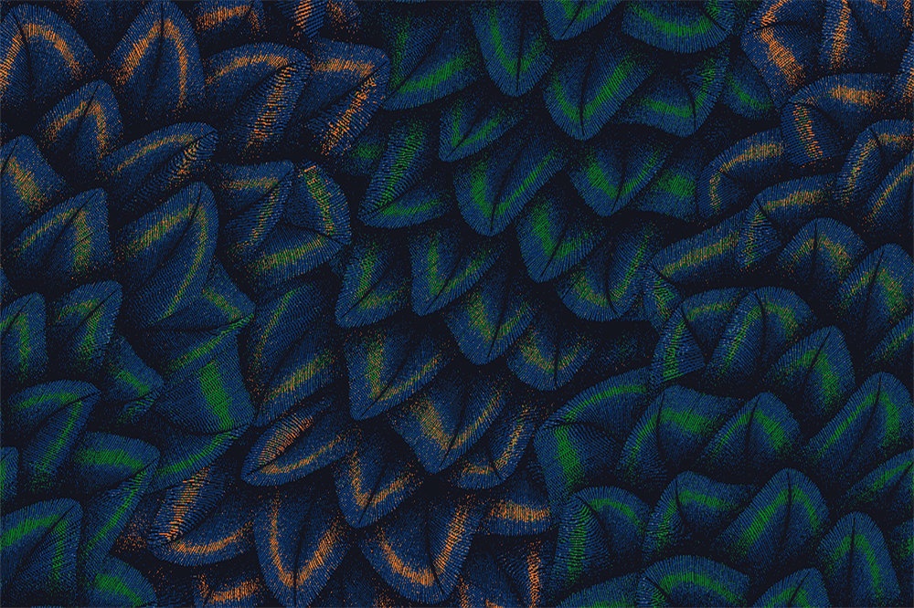 G8809